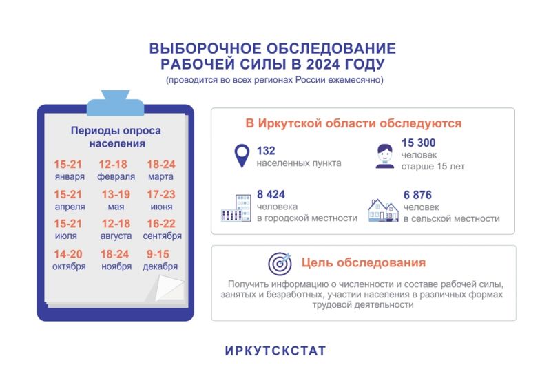 Выборочное обследование рабочей силы в 2024 году